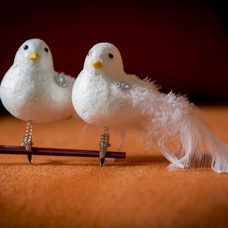 Villa Two White Pigeons Ypern Zimmer foto
