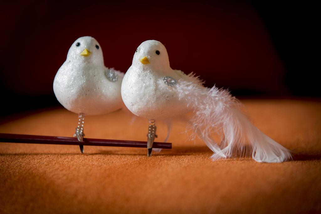 Villa Two White Pigeons Ypern Zimmer foto